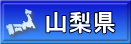 山梨県